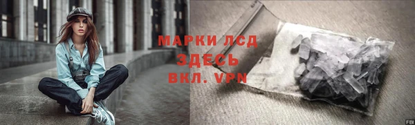 ГАЛЛЮЦИНОГЕННЫЕ ГРИБЫ Касимов