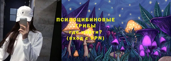 ГАЛЛЮЦИНОГЕННЫЕ ГРИБЫ Касимов