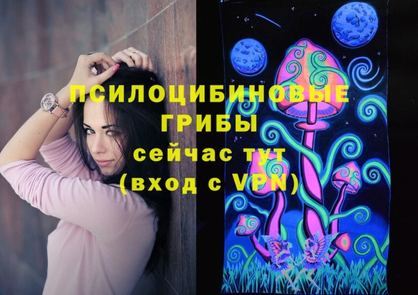 а пвп мука Карпинск