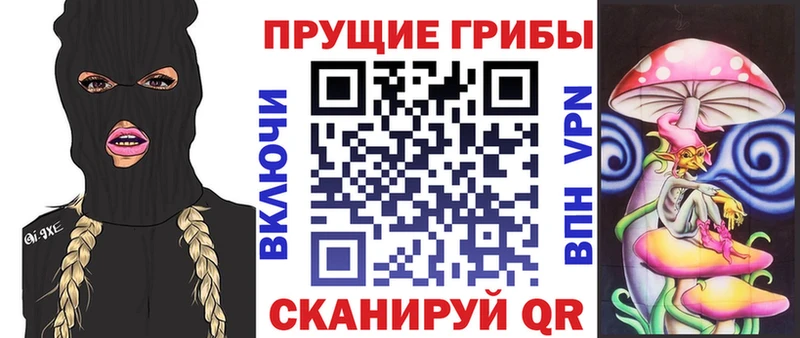 Псилоцибиновые грибы MAGIC MUSHROOMS  Купить  Белгород 